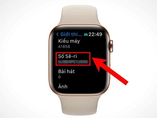Check serial Apple Watch qua Phone (1)