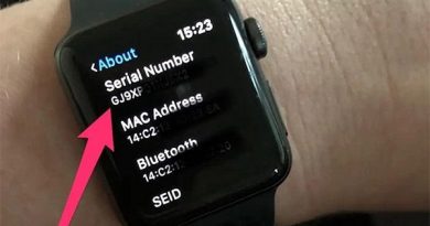 Serial của Apple Watch.