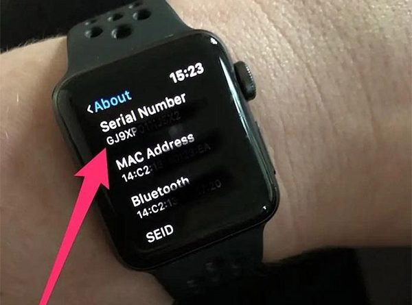 Serial của Apple Watch.