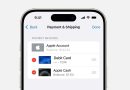 lỗi chưa hoàn tất thanh toán trên app store