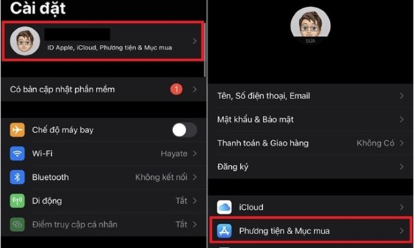 Chọn Phương tiện & Mục mua