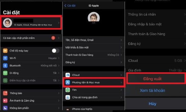 Chọn Phương tiện & Mục mua và Đăng xuất